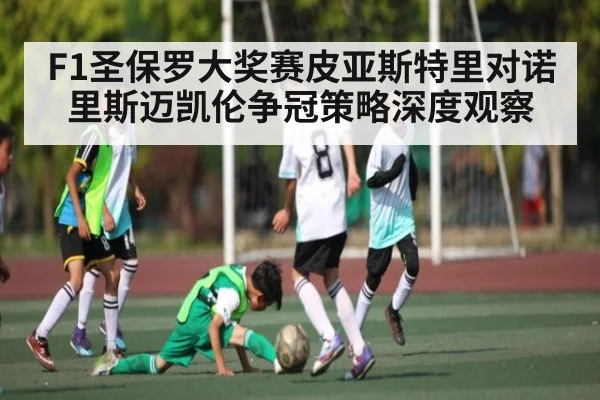 F1圣保罗大奖赛皮亚斯特里对诺里斯迈凯伦争冠策略深度观察 | HAHA SPORTS